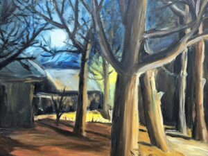 Wieś zimową nocą - obraz na płótnie